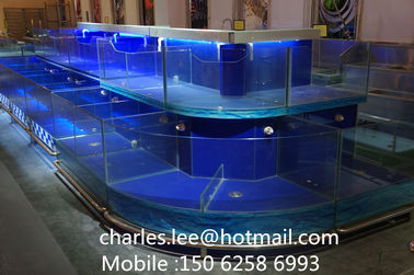 Professional Shop Box Fish Table Customized 1000 X 1000X 850 mm